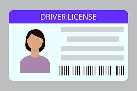 Sample Driver's License